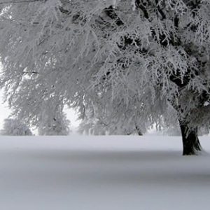 OTOÑO-INVIERNO