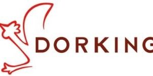 DORKING