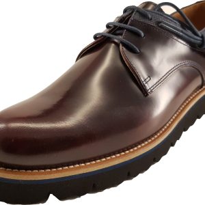 Carlo Torrecci 1175 0201